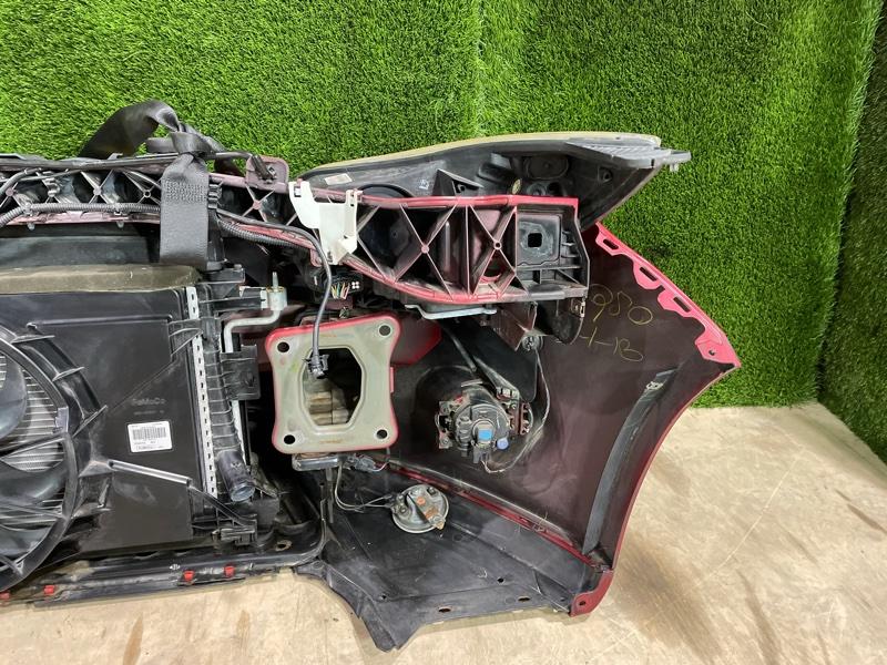 Ноускат — фото 12