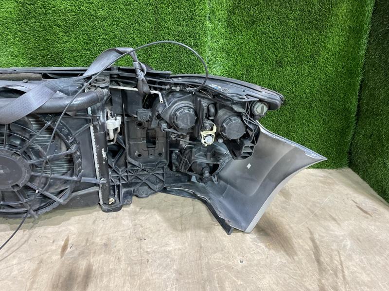 Ноускат — фото 12