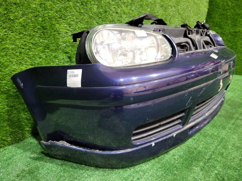 Ноускат — фото 8