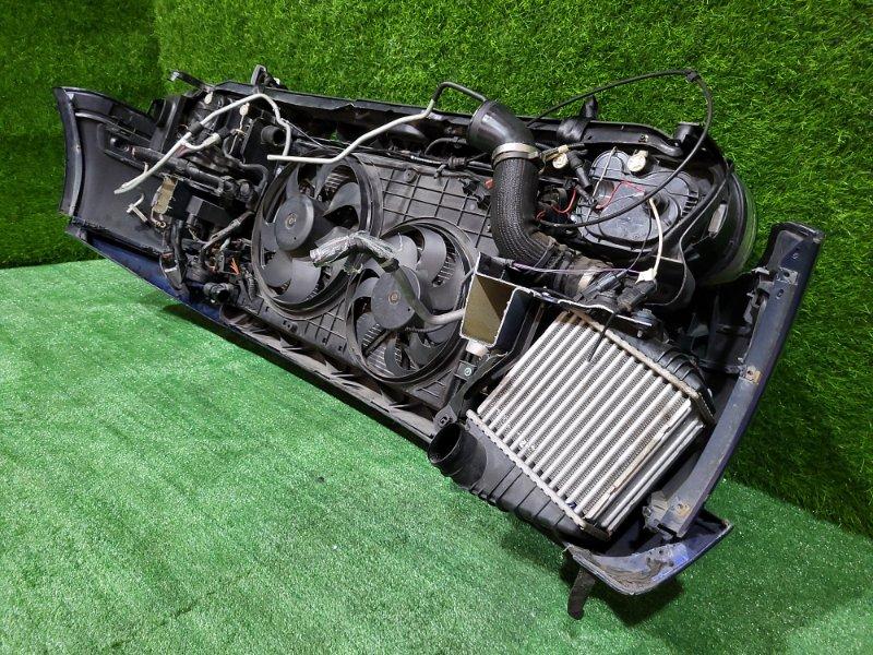 Ноускат — фото 12