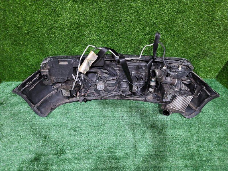 Ноускат — фото 10