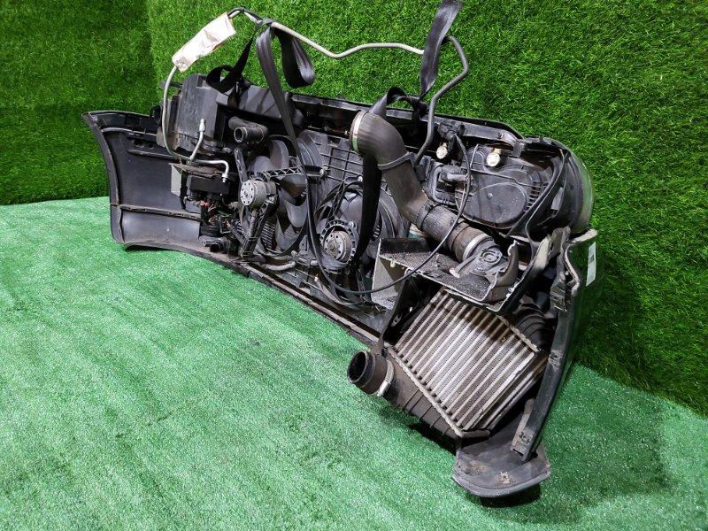 Ноускат — фото 12