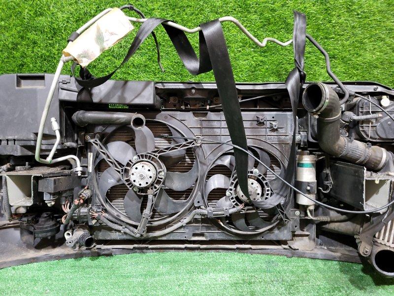 Ноускат — фото 15