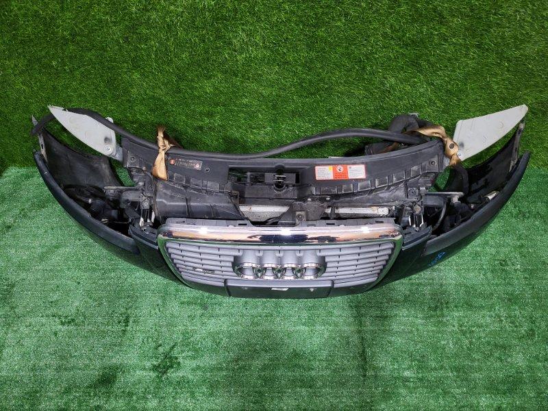 Ноускат — фото 2