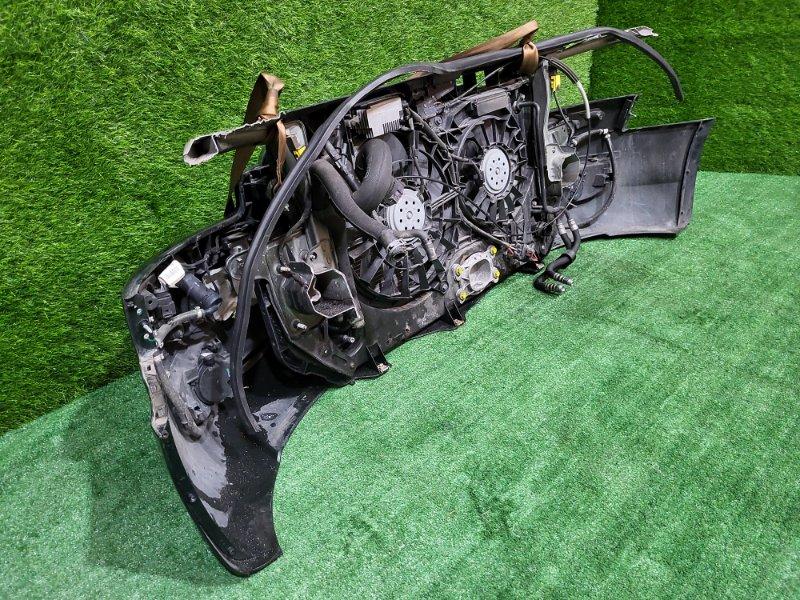 Ноускат — фото 11