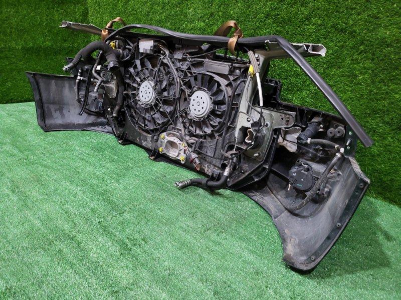 Ноускат — фото 12