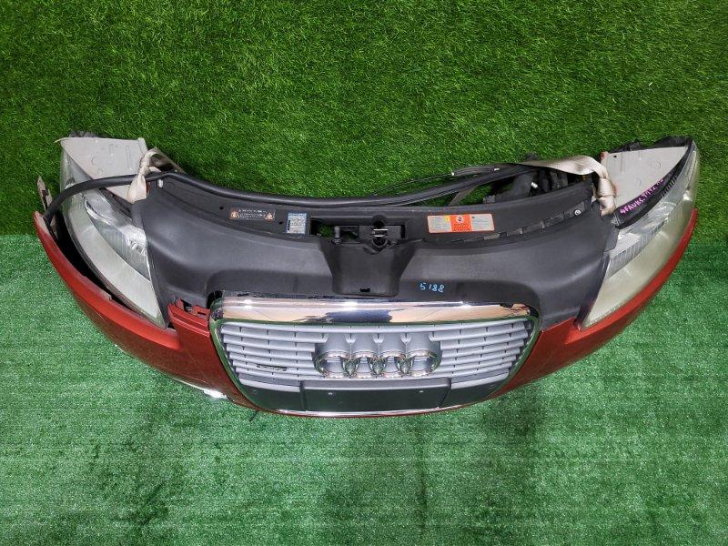 Ноускат — фото 2