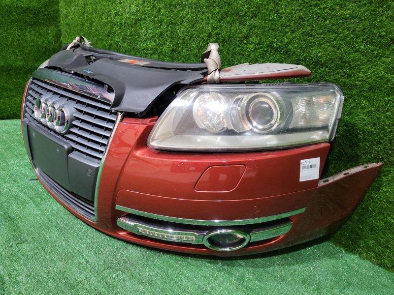 Ноускат — фото 4