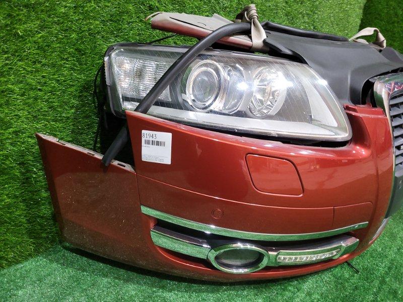 Ноускат — фото 8