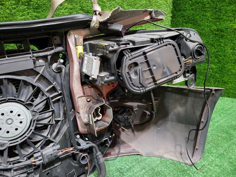 Ноускат — фото 13