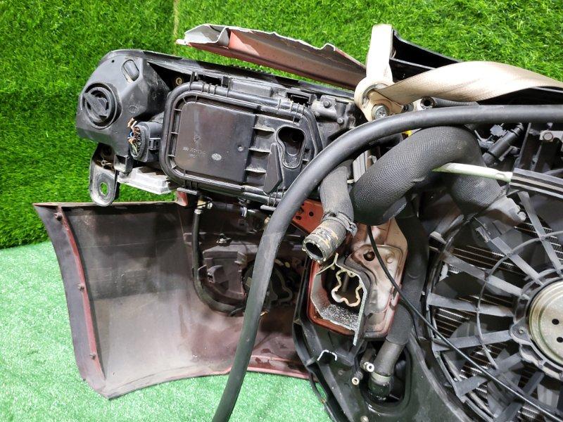 Ноускат — фото 14