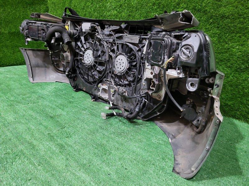 Ноускат — фото 12