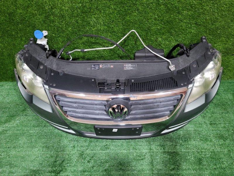 Ноускат — фото 2