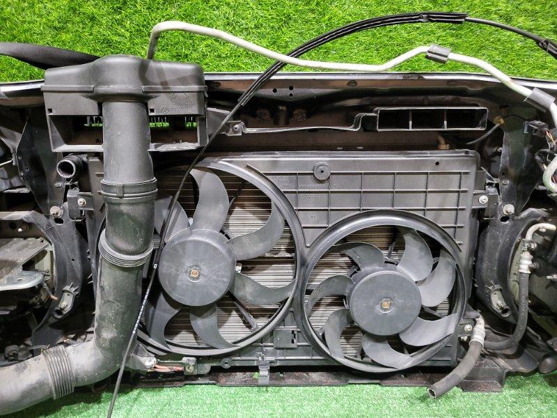 Ноускат — фото 15