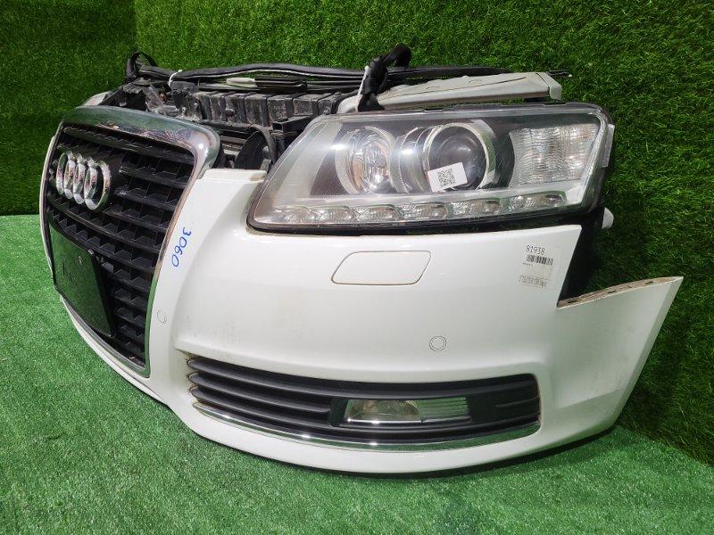 Ноускат — фото 4