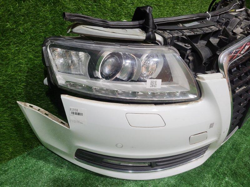 Ноускат — фото 7