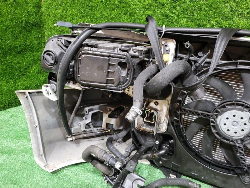 Ноускат — фото 14