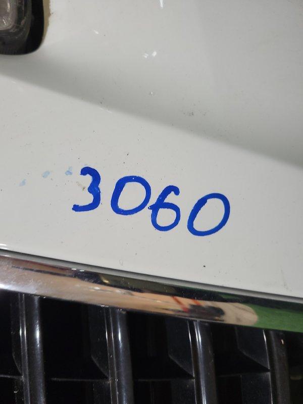 Ноускат — фото 16