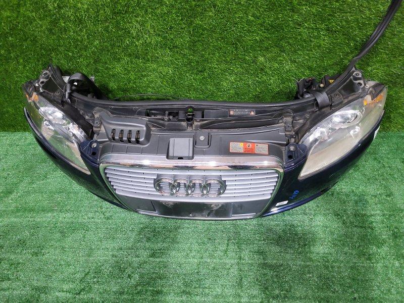 Ноускат — фото 2