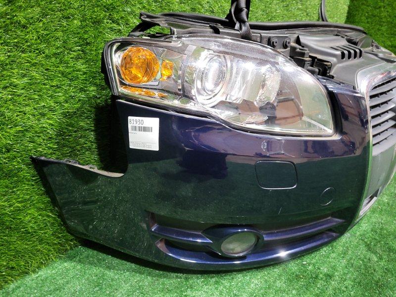 Ноускат — фото 8