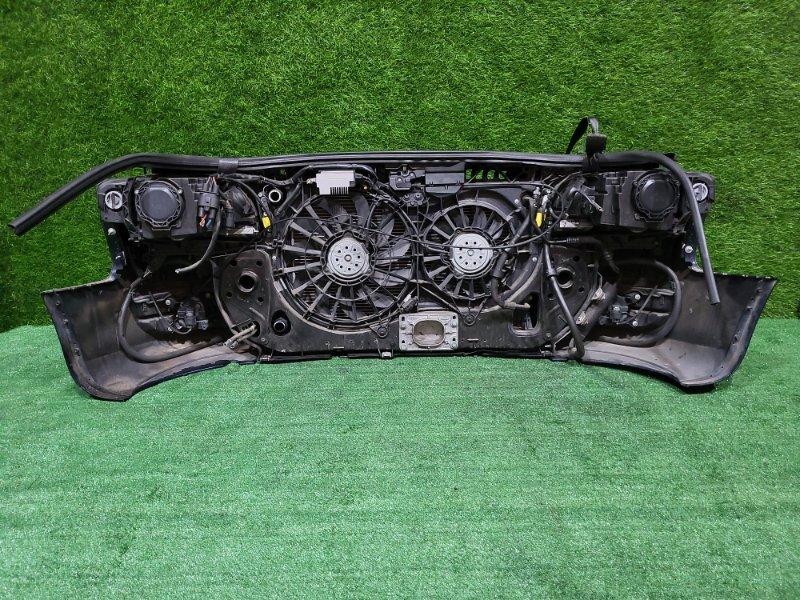 Ноускат — фото 9