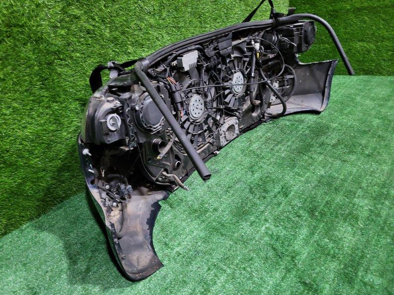 Ноускат — фото 11