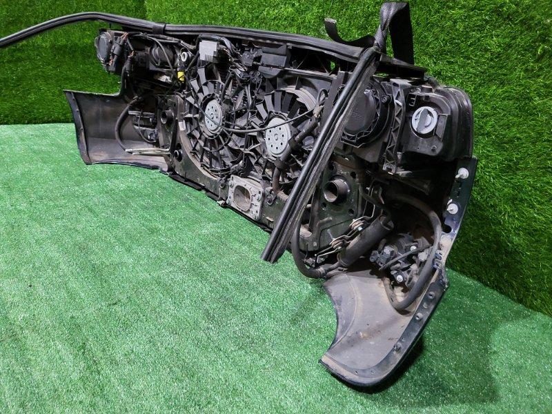 Ноускат — фото 12