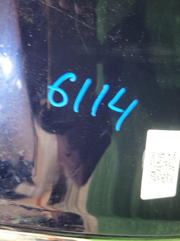 Ноускат — фото 16