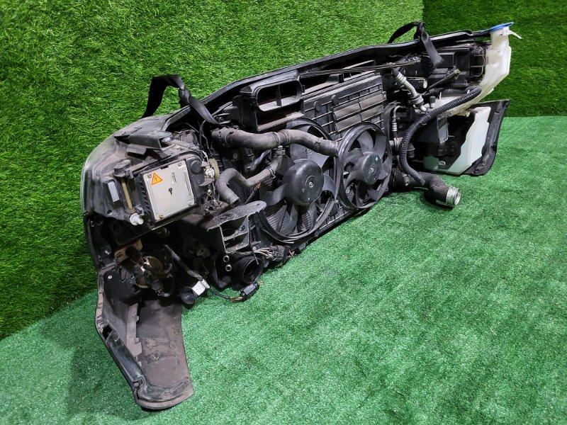 Ноускат — фото 11