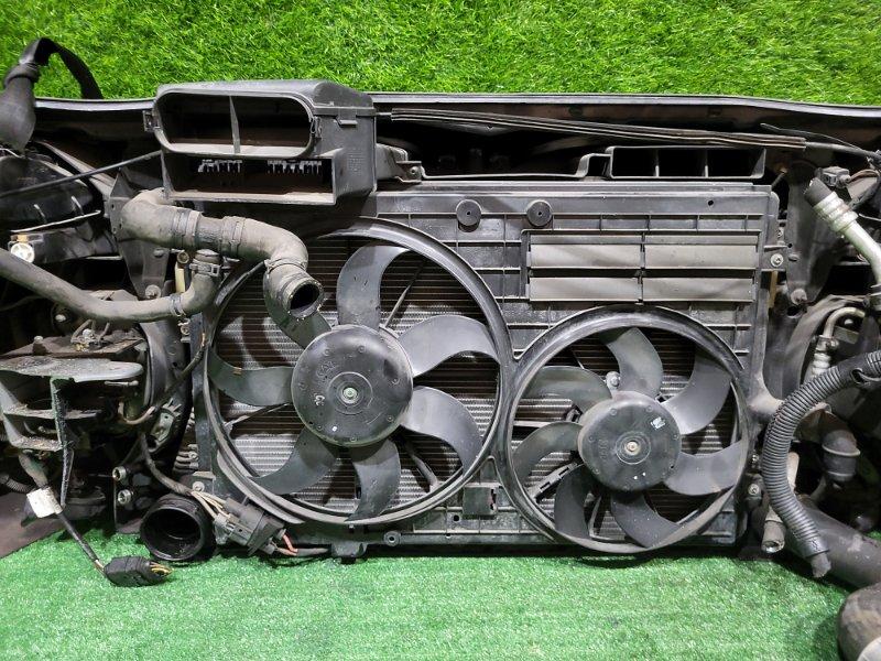 Ноускат — фото 15