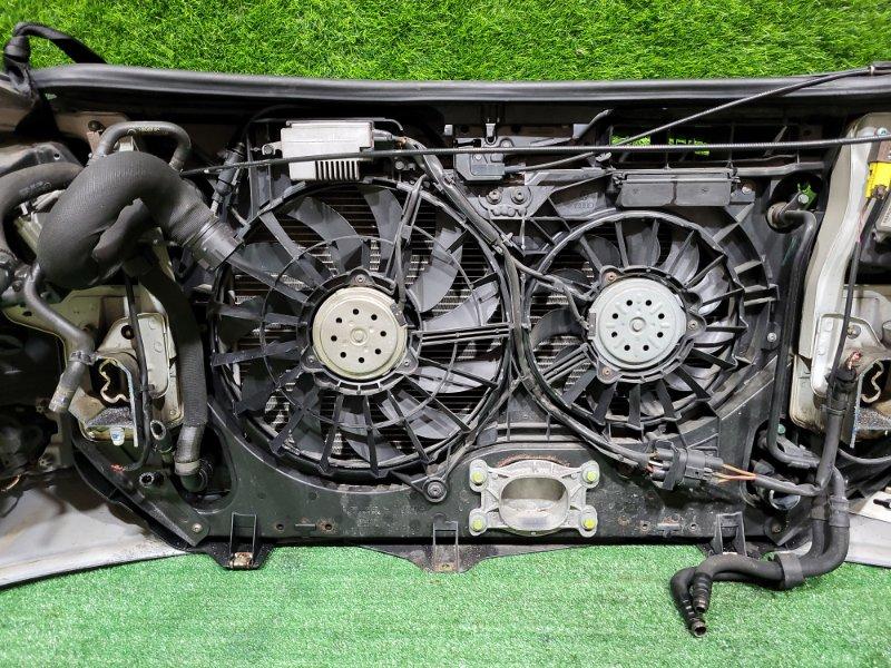 Ноускат — фото 15