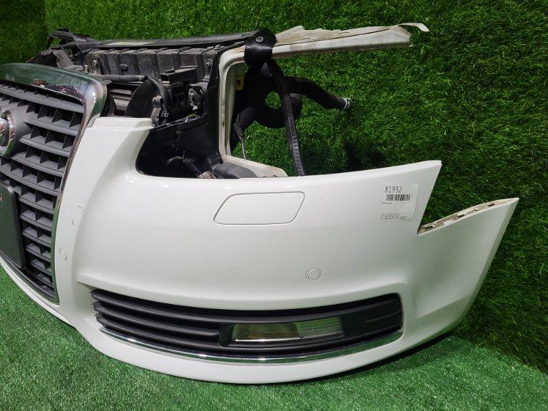 Ноускат — фото 6