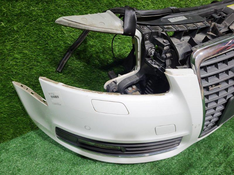 Ноускат — фото 7