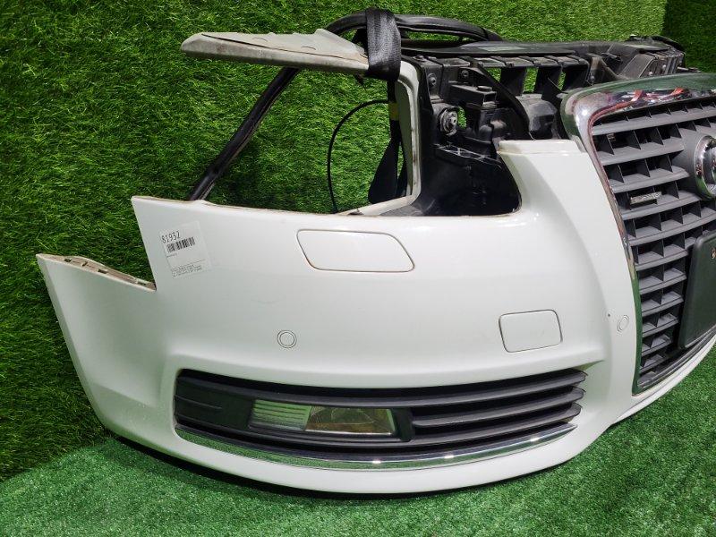 Ноускат — фото 8