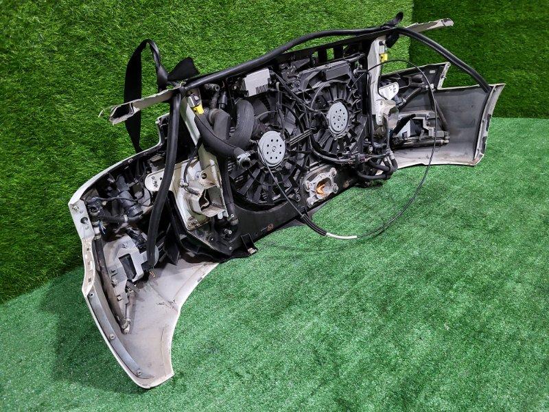 Ноускат — фото 11