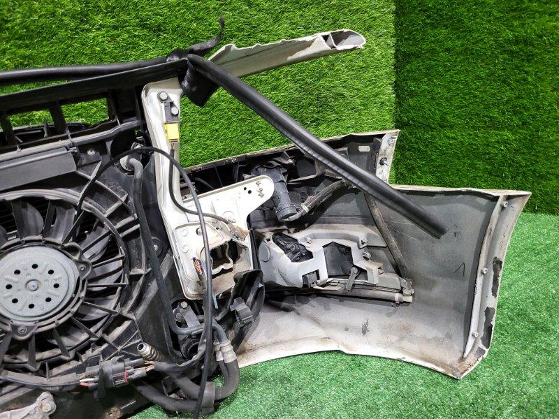 Ноускат — фото 13