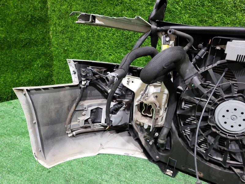 Ноускат — фото 14