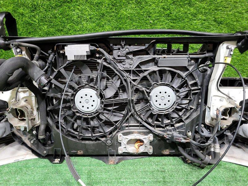 Ноускат — фото 15