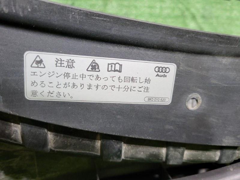 Ноускат — фото 16