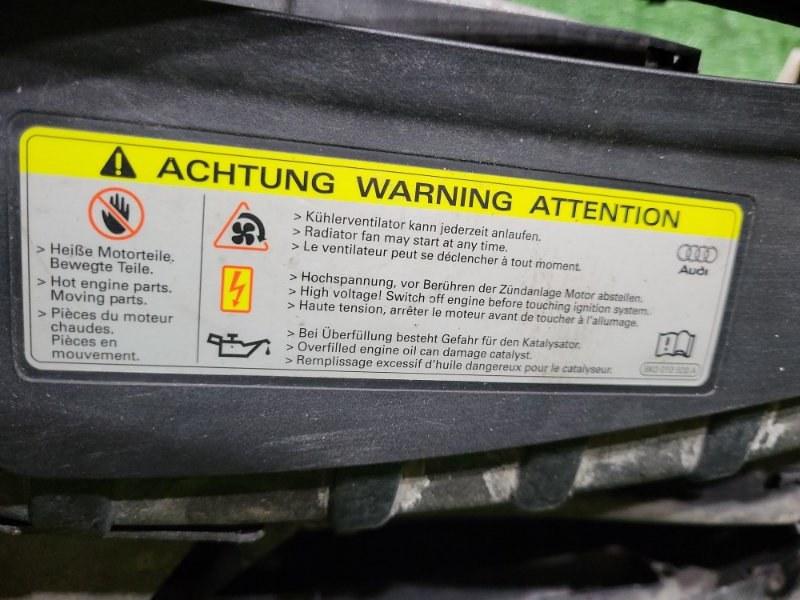 Ноускат — фото 17