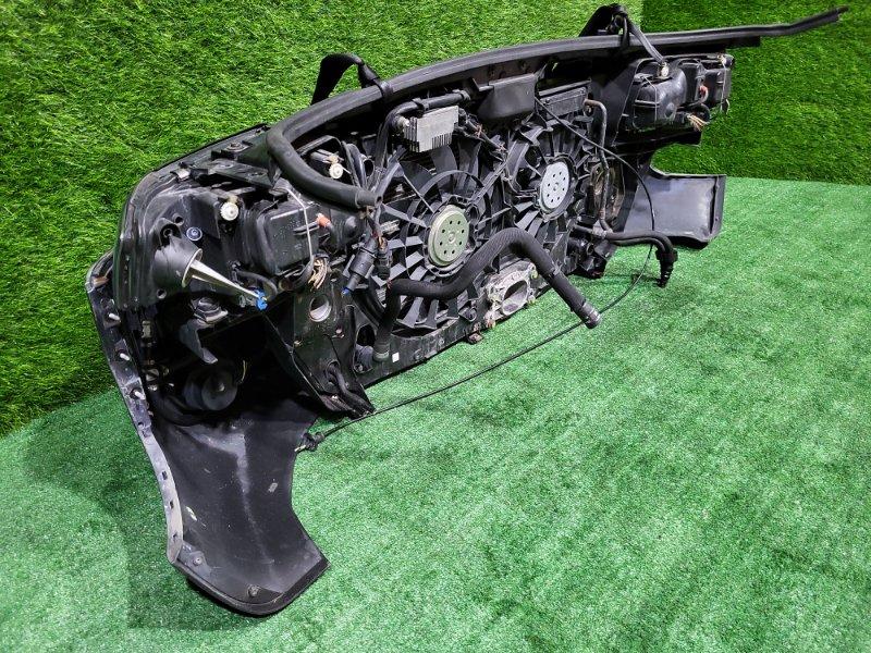 Ноускат — фото 11