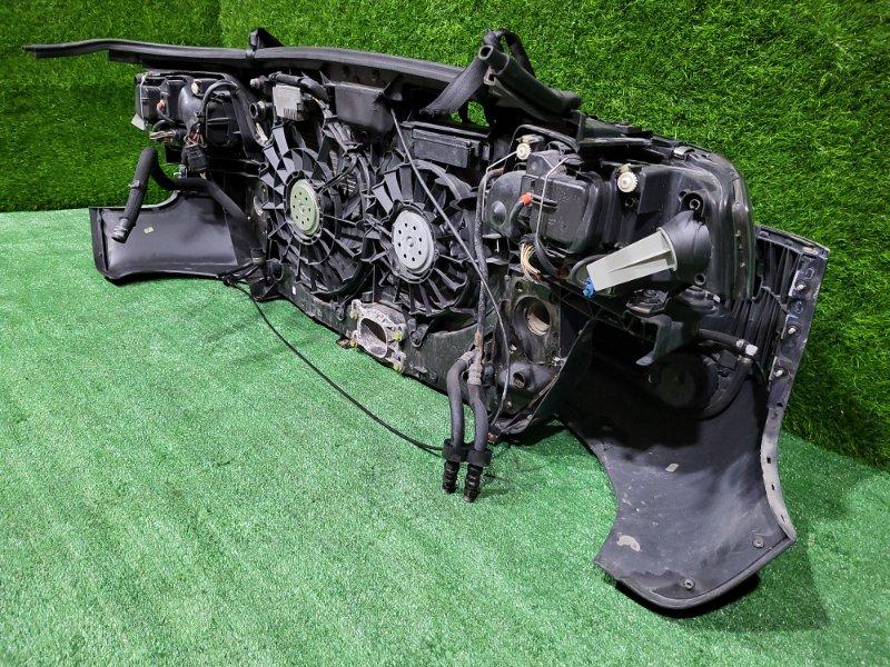 Ноускат — фото 12