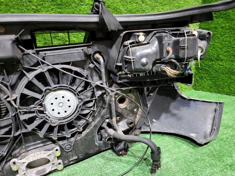 Ноускат — фото 13