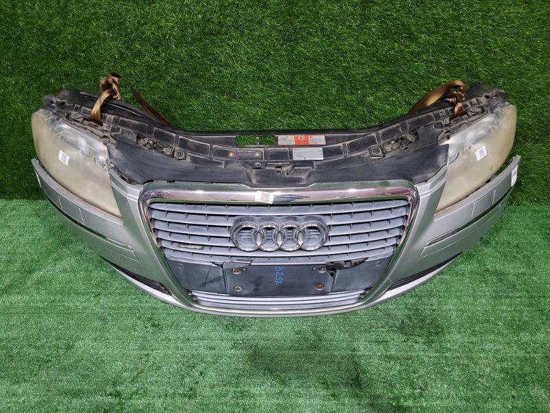 Ноускат — фото 2