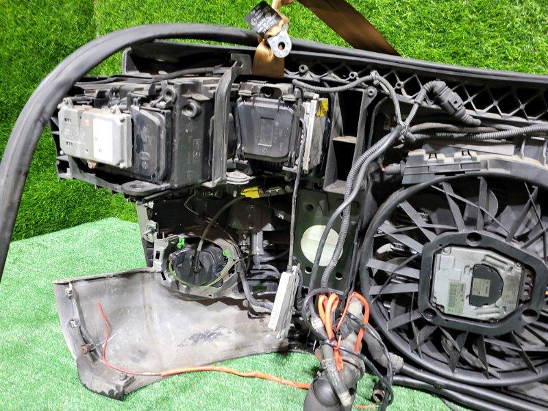 Ноускат — фото 14