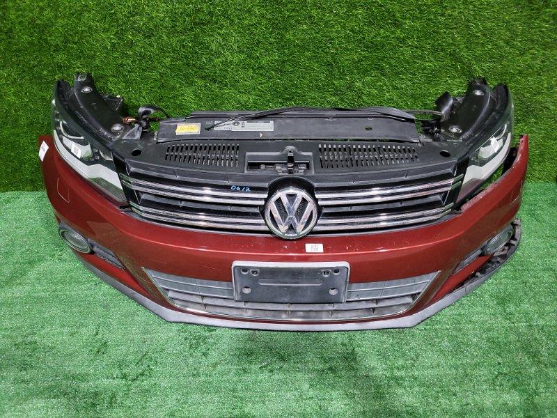 Ноускат — фото 2