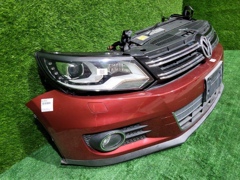 Ноускат — фото 3