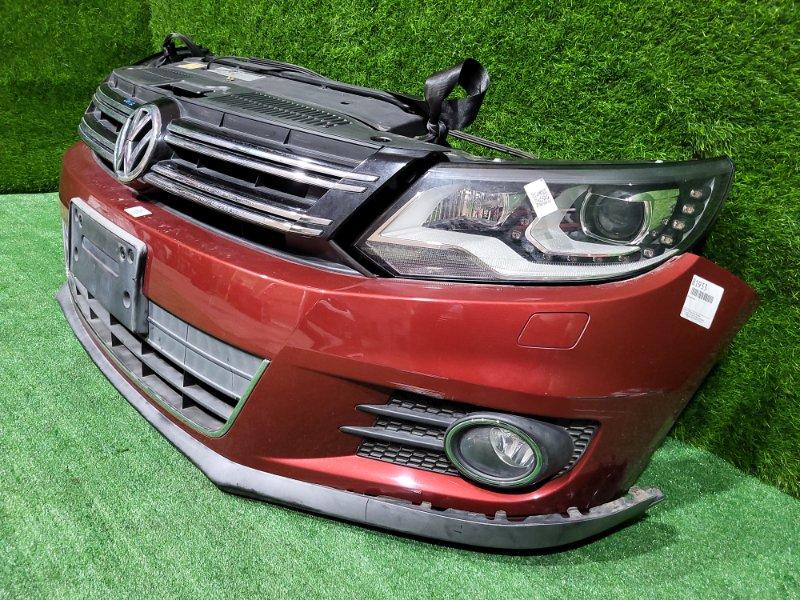 Ноускат — фото 4