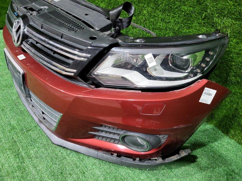 Ноускат — фото 5