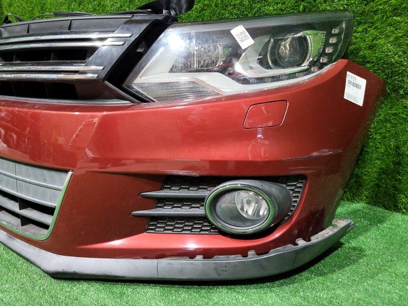 Ноускат — фото 6